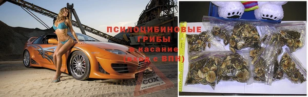 не бодяженный Алексин